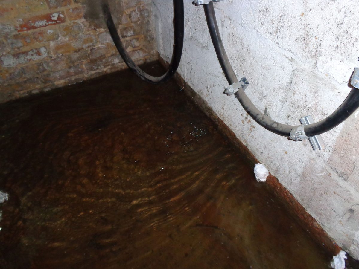 Standing water pooled across a basement floor, the standing moisture that feeds basement mold
