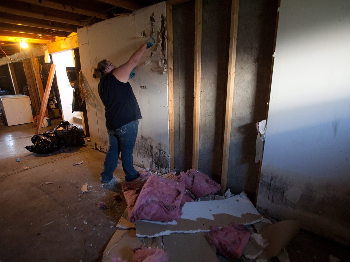 A worker removing drywall with heavy black mold growth along the base of the wall