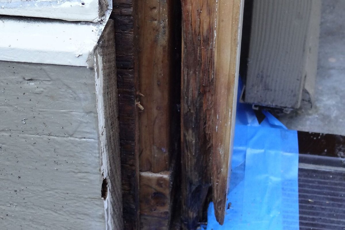 Wood deteriorated by long term exposure to moisture and dry rot fungus