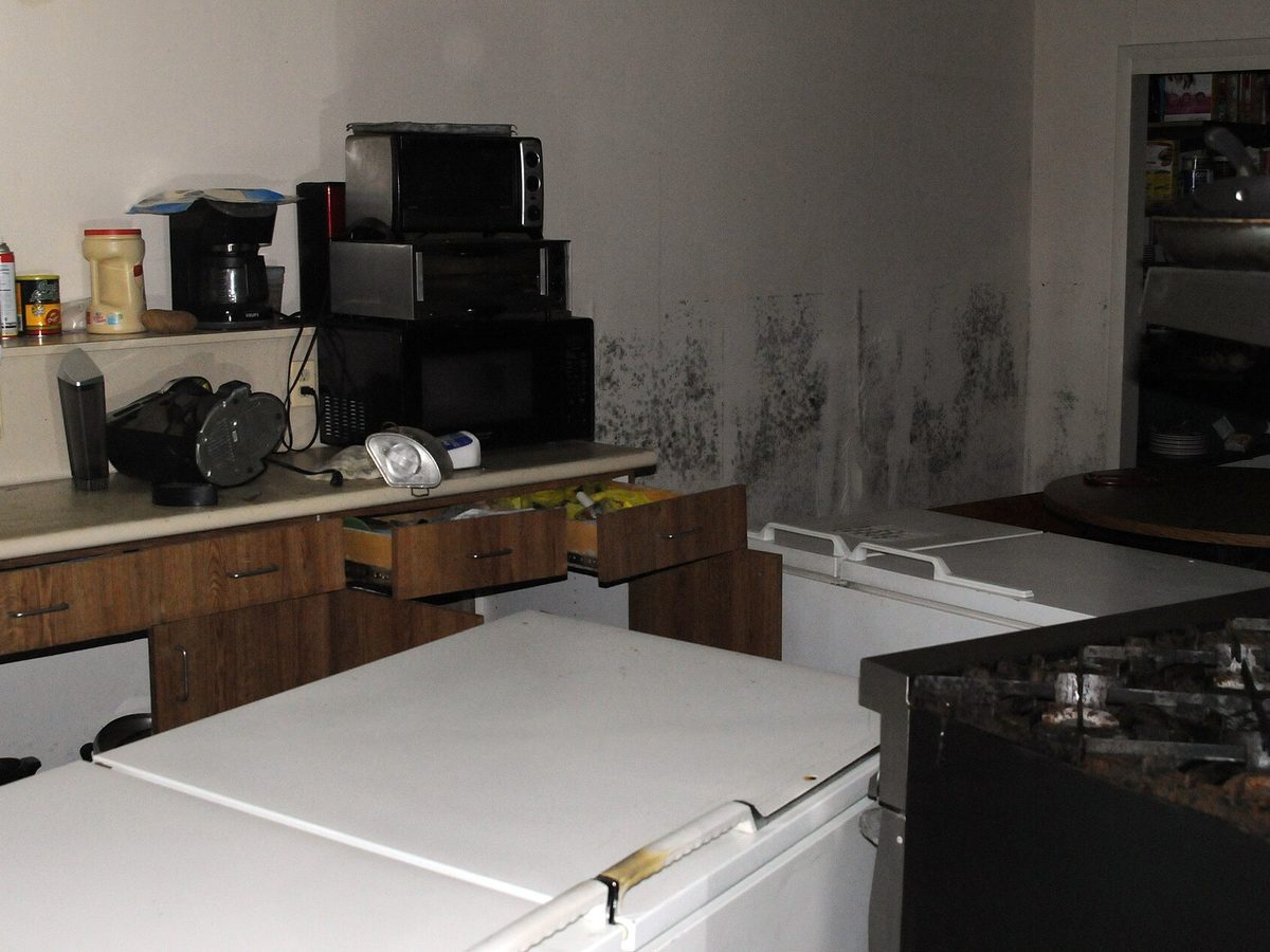 Mold growth spreading across the walls of a kitchen that stayed wet after cleanup was delayed