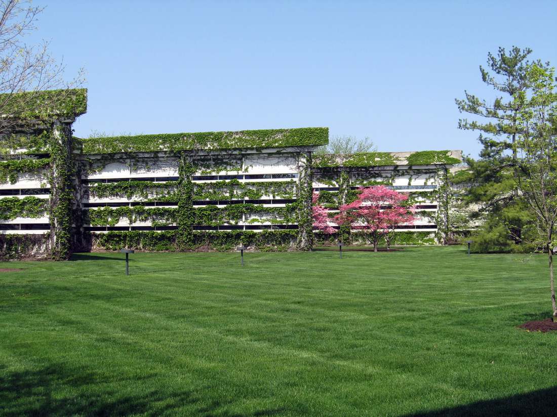 Corporate office building exterior surrounded by lawn and trees