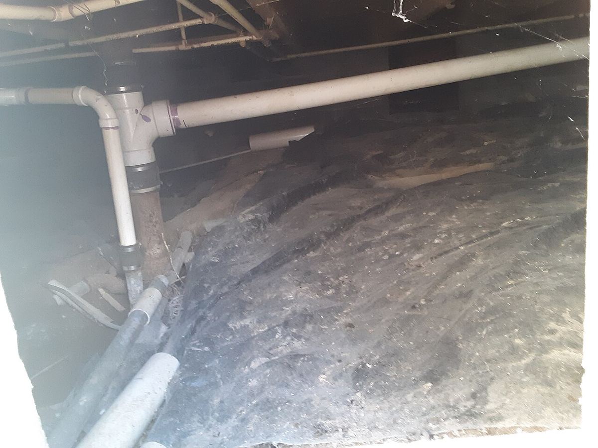 Crawl space under a home with PVC plumbing pipes running beneath a dark subfloor, the damp environment where crawl space mold establishes