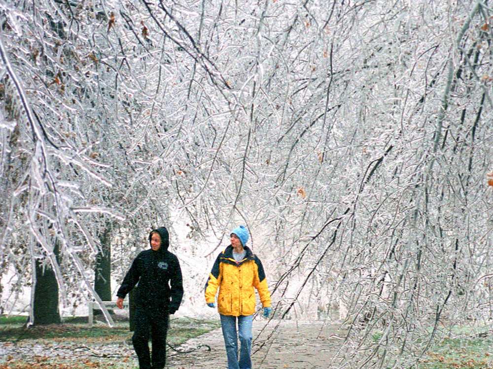 Two people walking under tree branches coated in ice after an ice storm