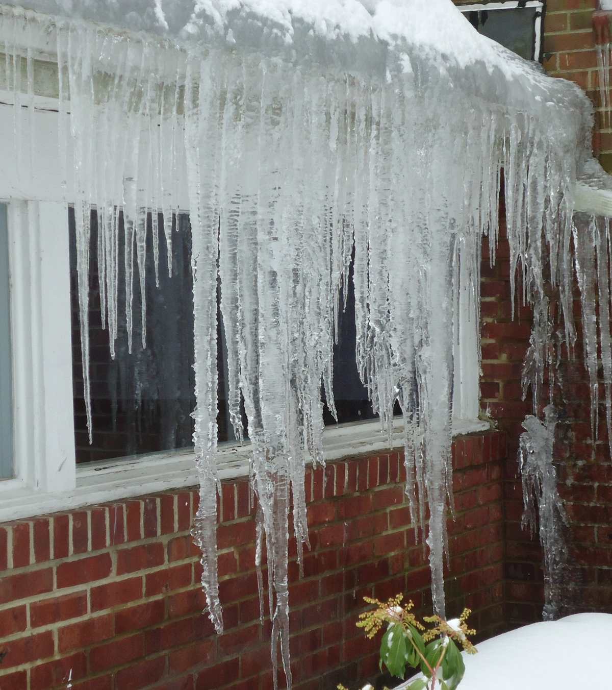 Long icicles hanging from a roof edge above a window