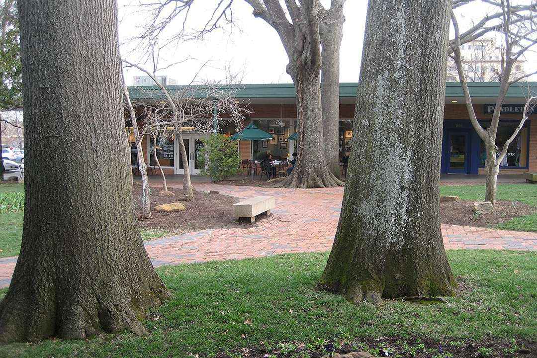 Mature trees and brick walkways in the Utica Square area of Midtown Tulsa