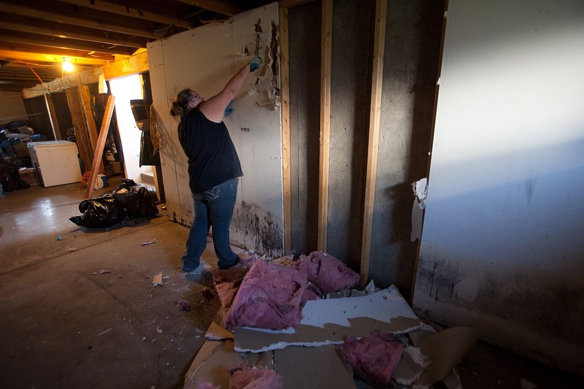 Worker removing mold affected wall material inside a basement room during a remediation project
