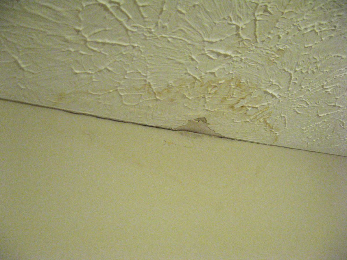 Water staining spread across a textured ceiling