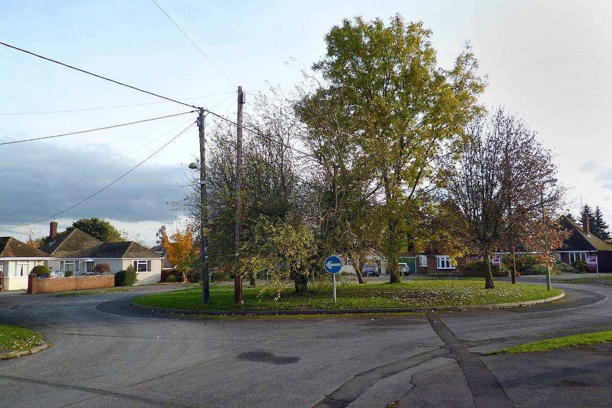 A quiet suburban cul de sac lined with homes, lawns, and shade trees