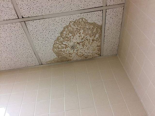A water stain spreading across a wall from hidden moisture