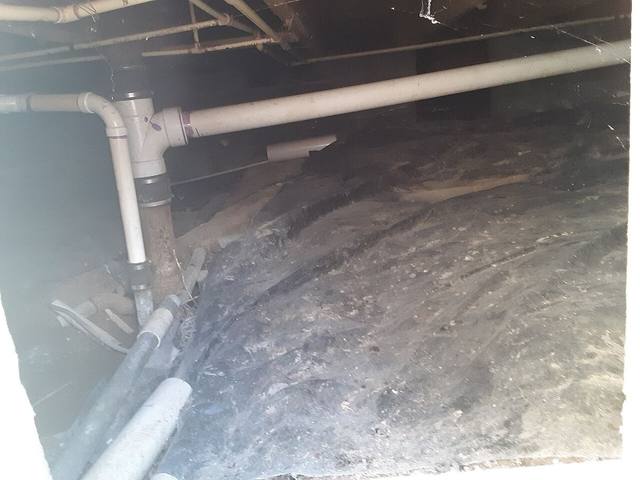 Crawl space under a home with PVC plumbing pipes running beneath a dark subfloor, the damp environment where crawl space mold establishes