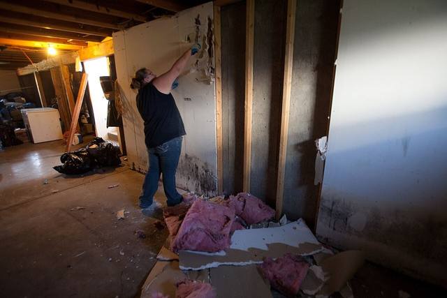 Worker removing mold affected wall material inside a basement room during a remediation project
